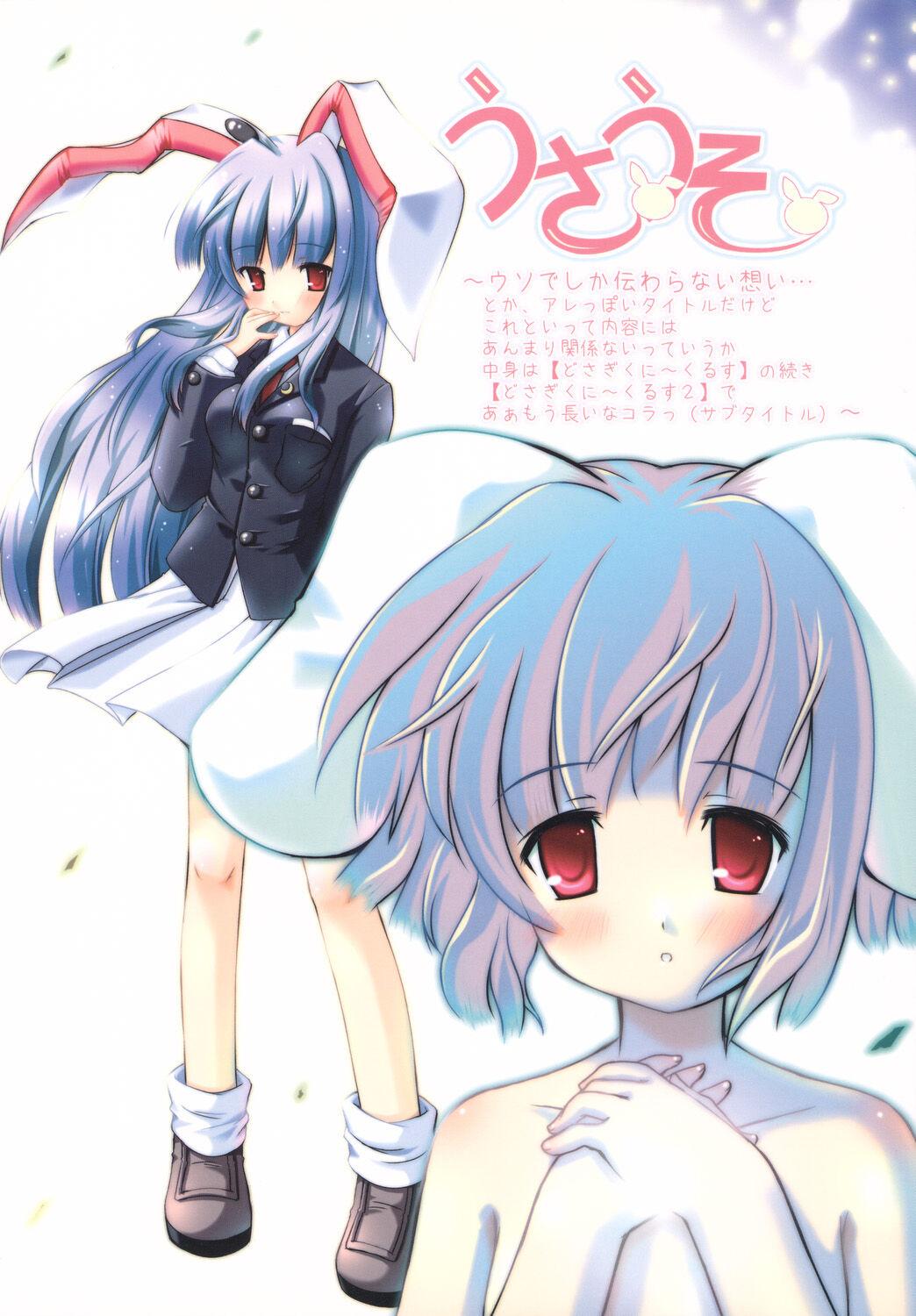 C70 PoM もんちぃ うさうそ どさぎくにくるす2 东方Project 中国翻訳