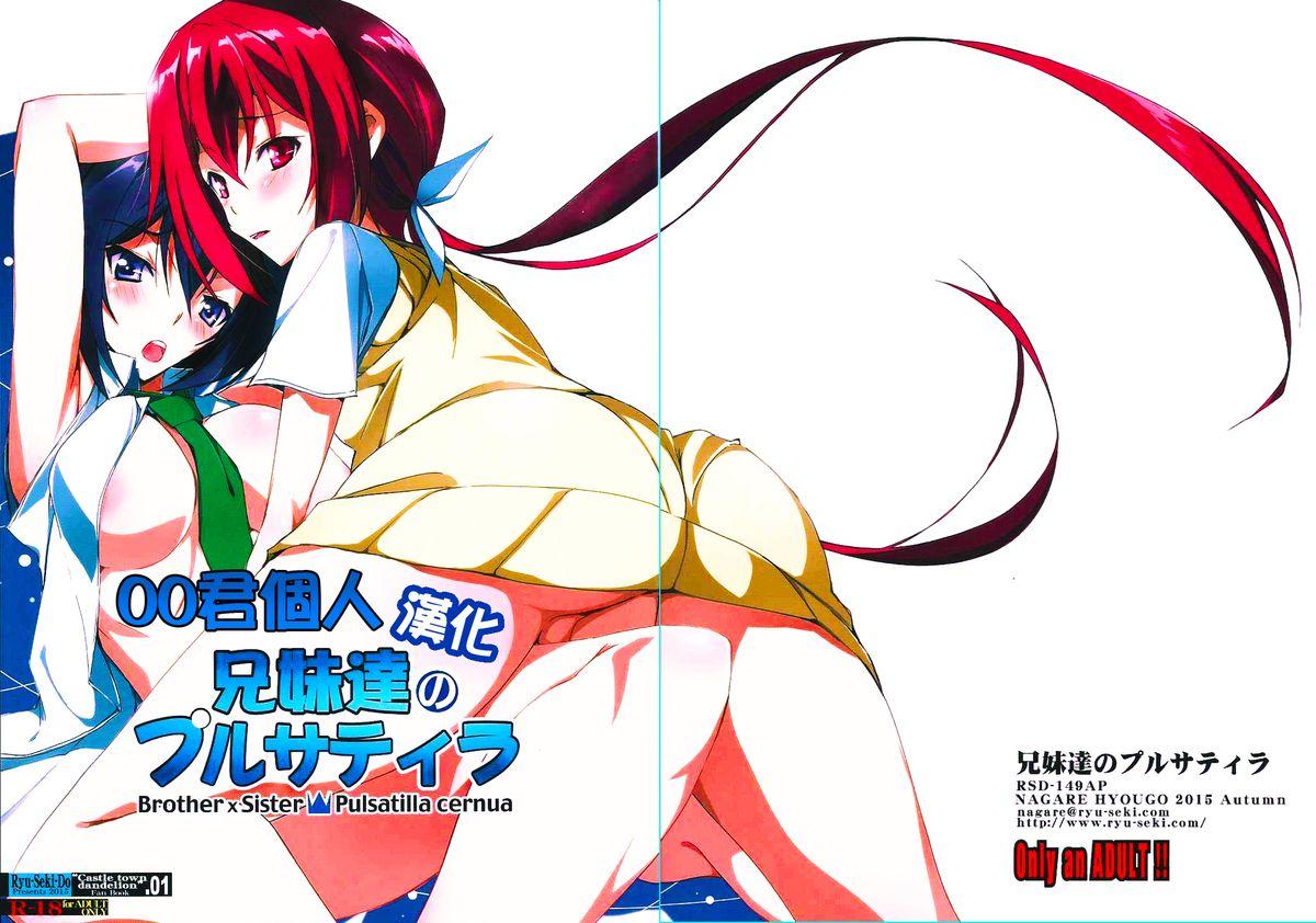 サンクリ2015 Autumn 流石堂 流ひょうご 兄妹达のプルサティラ 城下町のダンデライオン 中国翻訳